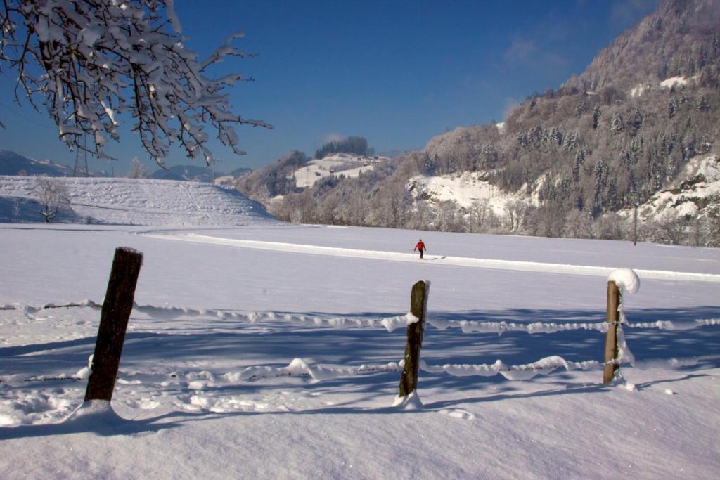 Der Jagdhof Aparthotel Sankt Johann im Pongau Eksteriør bilde